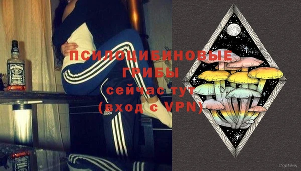не бодяженный Новозыбков