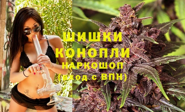 мдпв Новодвинск