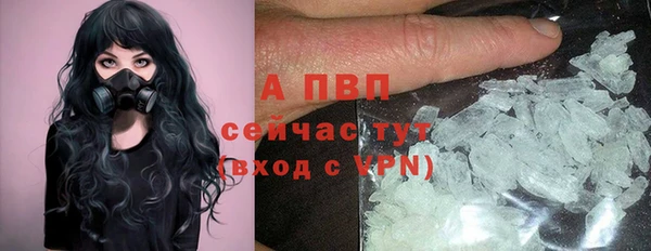 мдпв Новодвинск