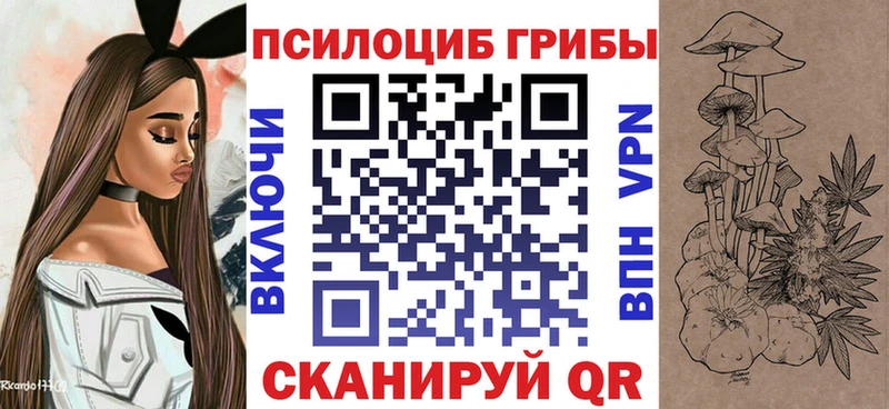 Галлюциногенные грибы прущие грибы  Купить где  Старица 
